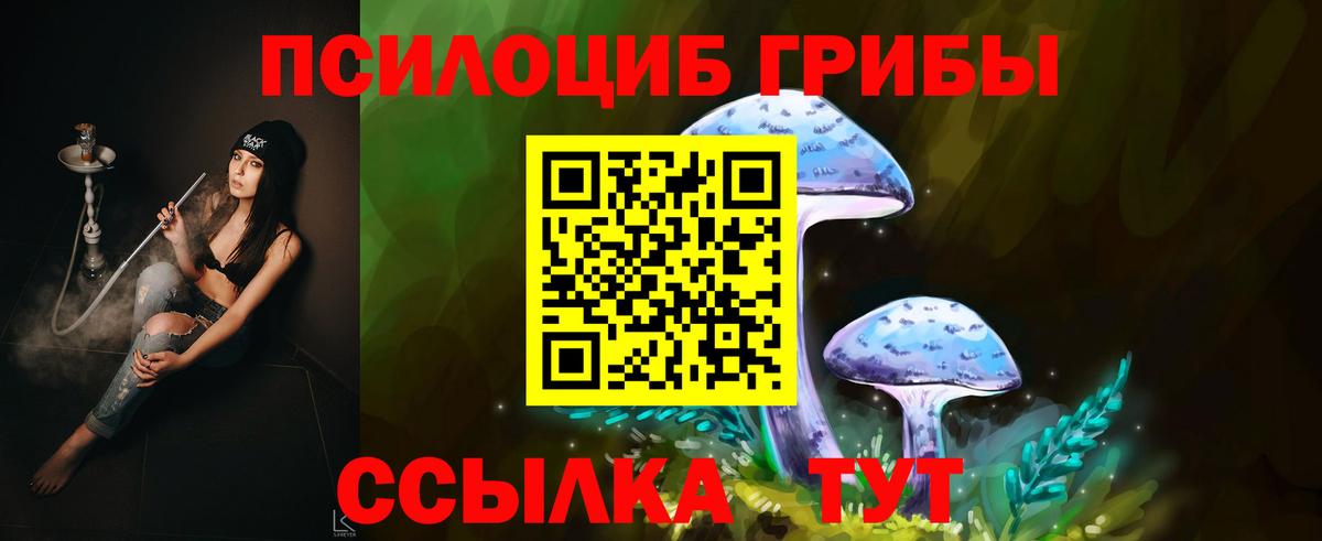 Мурино  Галлюциногенные грибы Magic Shrooms  Вход с VPN 